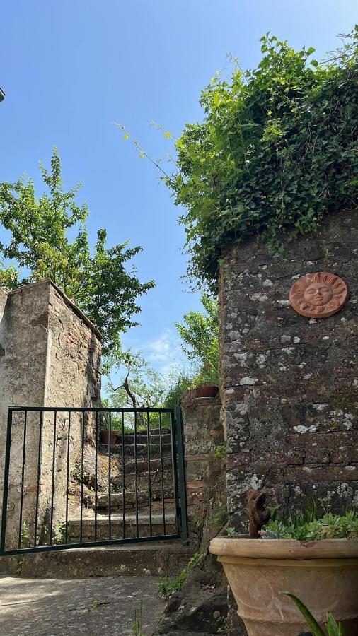 Casina Orione Apartment Montecatini Val di Cecina Bagian luar foto